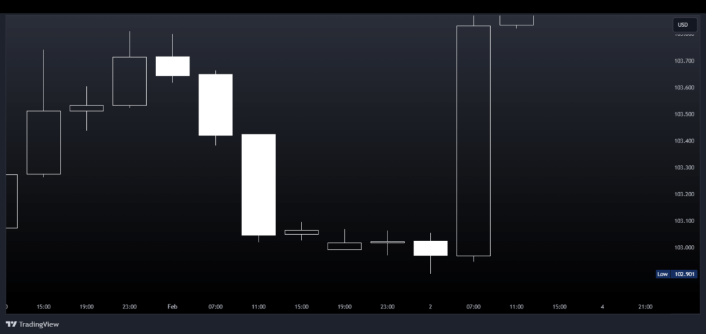 Black & White Candlesticks: Bullish & Bearish Patterns 